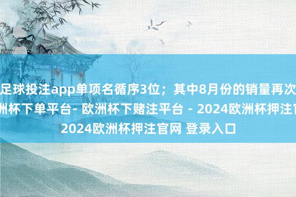 足球投注app单项名循序3位；其中8月份的销量再次冲破万台-欧洲杯下单平台- 欧洲杯下赌注平台 - 2024欧洲杯押注官网 登录入口