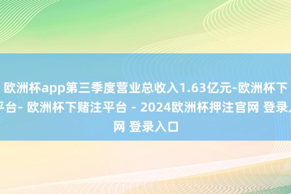 欧洲杯app第三季度营业总收入1.63亿元-欧洲杯下单平台- 欧洲杯下赌注平台 - 2024欧洲杯押注官网 登录入口