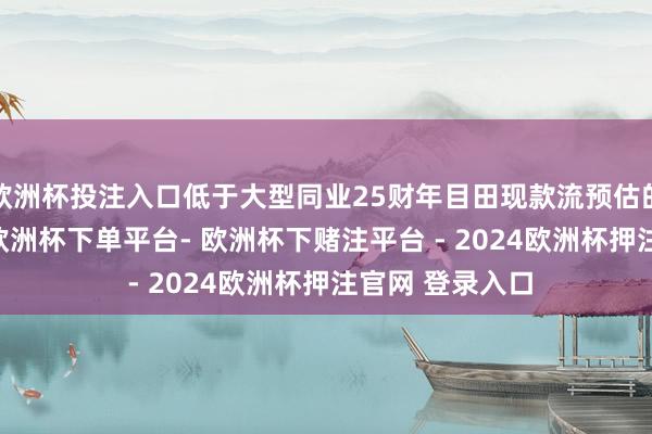 欧洲杯投注入口低于大型同业25财年目田现款流预估的20倍至40倍-欧洲杯下单平台- 欧洲杯下赌注平台 - 2024欧洲杯押注官网 登录入口