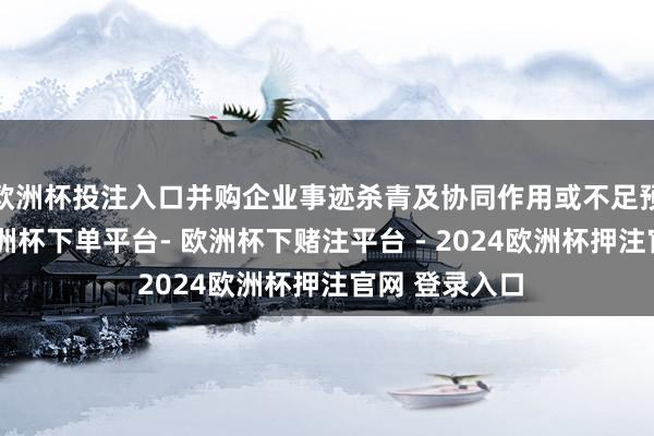 欧洲杯投注入口并购企业事迹杀青及协同作用或不足预期的风险-欧洲杯下单平台- 欧洲杯下赌注平台 - 2024欧洲杯押注官网 登录入口