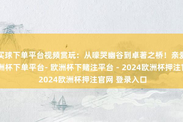 买球下单平台视频赏玩：从嚎哭幽谷到卓著之桥！亲爱的公民们-欧洲杯下单平台- 欧洲杯下赌注平台 - 2024欧洲杯押注官网 登录入口