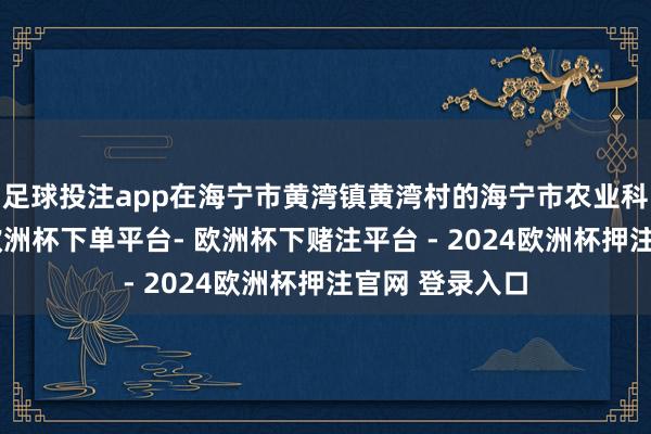 足球投注app在海宁市黄湾镇黄湾村的海宁市农业科技变嫌园内-欧洲杯下单平台- 欧洲杯下赌注平台 - 2024欧洲杯押注官网 登录入口